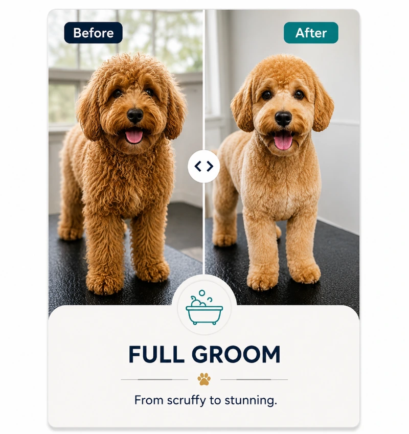 dog groom maryville