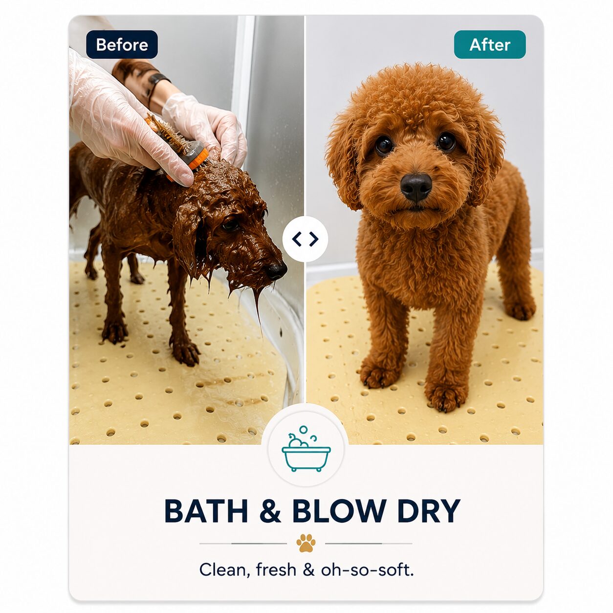 dog grooming meryville